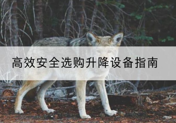 类乌齐升降货梯厂家推荐-*安全选购升降设备指南