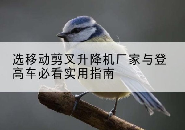 类乌齐电动升降机厂家-选移动剪叉升降机厂家与登高车必看实用指南